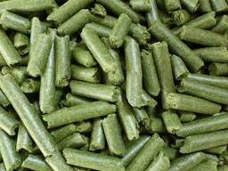 Alfalfa hay, Alfalfa Pellets, Alfalfa Cubes for animal feed