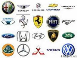 Auto Spare parts Only wholesale supply