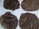 Beef omasum