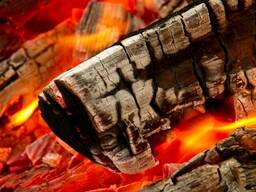 Briquetas de carbón de cáscara de coco de madera dura de calidad pura