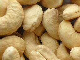Cashew Nut Size W180 W240 W320 W450/ Certified WW320 Dried Cashew for Sale
