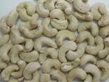 Cashew Nut Size W180 W240 W320 W450/ Certified WW320 Dried Cashew for Sale - foto 1