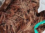Copper Wire Scrap 99.99% High Purity BR Europe/Usa/Turkey/South America - foto 3