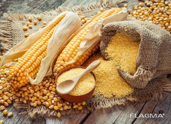 Corn wholesale export (продам кукурудзу оптом експорт гуртом)