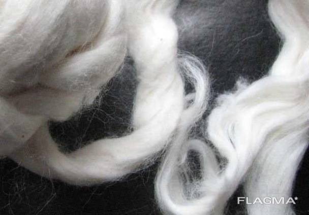Cotton fiber and cotton lint from Turkmenistan