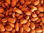 Dried Almond Nuts - foto 1