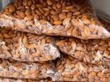 Dried Almond Nuts - foto 3
