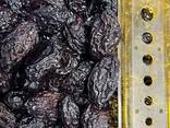 Dried Plums Stanley - photo 2