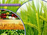 Fabricante y proveedor de pesticidas a nivel mundial