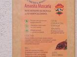 Chocolate Amanita VEGANO. 100 g - 15 tejas de 1 g de agárico de mosca/Мухоморный шоколад - фото 2
