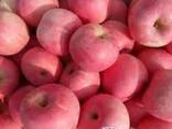 Fresh apples - photo 2