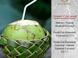 Fresh Coconut from Vietnam