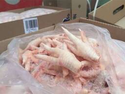 Frozen Chicken Paws Feet Wholesale Top Grade Chicken Paws Frozen Chicken Paws Feet Ready F