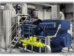 Planta de energía de gas de 800 kW