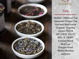 Green Black Tea from Asia