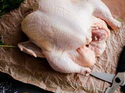 Halal Frozen Chicken, Thigh, Back quarter, Wings , Fillet IPBF , IQF, BF. Ukraine