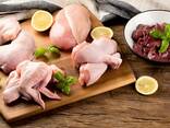 Halal Frozen Chicken, ! Thigh, Back quarter, Wings , Fillet IPBF , IQF, BF. Ukraine ! - фото 2