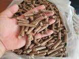 Wood pellets Bio-mass/wood pellet fuel for sale