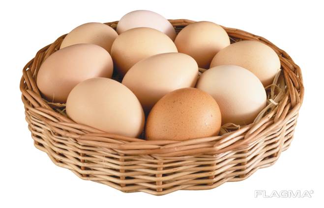 Huevo de gallina C1 al por mayor - Яйцо куриное C1 оптом
