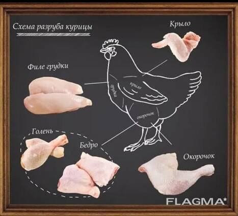 Курица