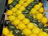 Лимон - photo 3