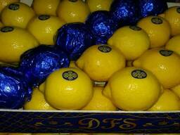 Лимон "Primofiori" с Испании