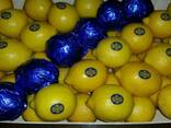 Лимон "Primofiori" с Испании - фото 3