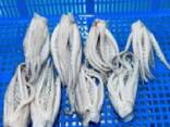 Мороженные морепродукты и рыба в Испанию от завода из Китая - фото 2