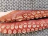 Мороженные морепродукты и рыба в Испанию от завода из Китая - фото 8