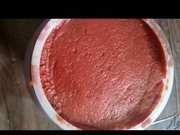 Pasta de tomate brix 36-38%