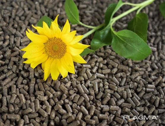 Pellets de cáscara de girasol (pellets de combustible de girasol)