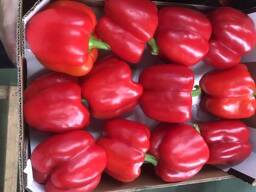 Перец свежий