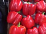 Перец свежий - foto 2