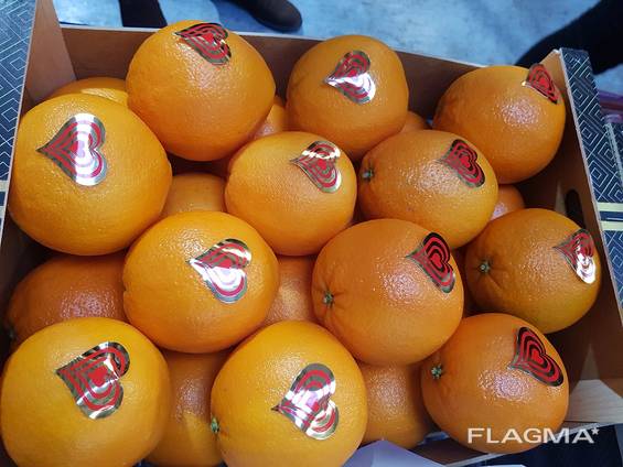 Предлагаем оптовые поставки апельсинов из Испании