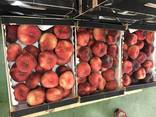 Предлагаем оптовые поставки плоского персика из Испании. - фото 2