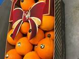 Продаем апельсины - фото 2