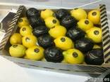 Продаем лимон 2014 - фото 4