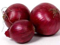We sell onion (red).
