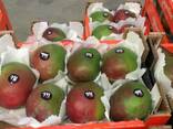 Продаем манго из Испании - фото 1