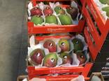 Продаем манго из Испании - фото 2