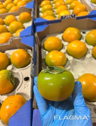 Продаем свежие фрукты Испанские