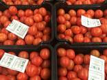 Продаем томаты - фото 10