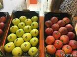 Продаем яблоки из Испании - фото 5