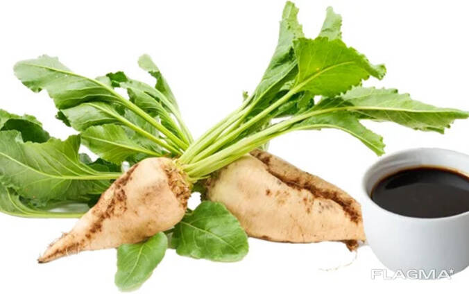 Sugar beet molasses