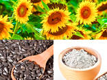 Sunflower Meal, Harina de Girasol, High Protein 36% (as is) Non Pelleted, For Animal Feed - photo 1