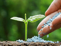 Urea 46% Nitrogen Fertilizer / Urea 46 Granular Fertilizer Bulk Stock Available