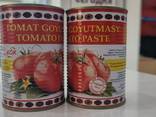 Tomato paste - photo 1
