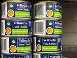 Tuna in oil - photo 1