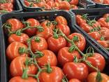 Venta fruta y verdura - foto 4
