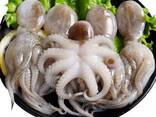 Whole Clean Octopus — Frozen - photo 1